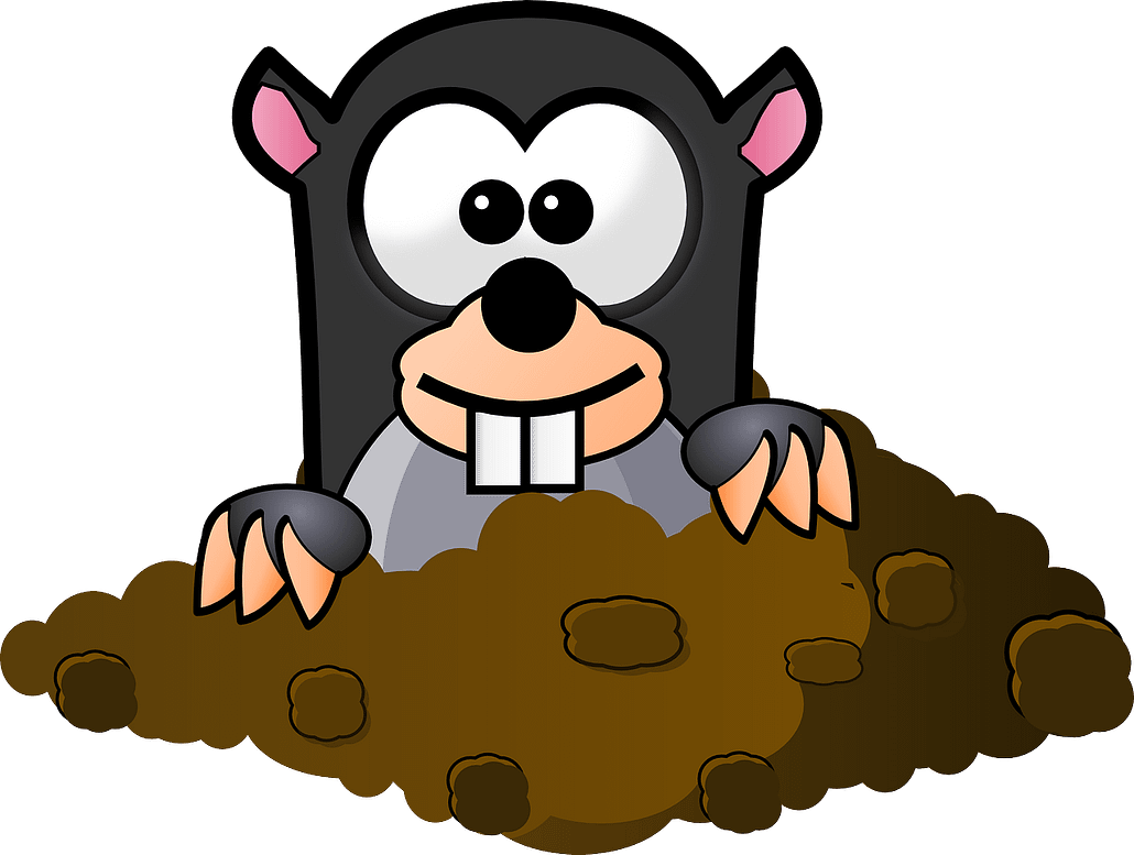 Maulwurfspiel_AppEntwicklung_AppInvenotor