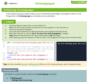 Python Arbeitsblatt Verzweigungen