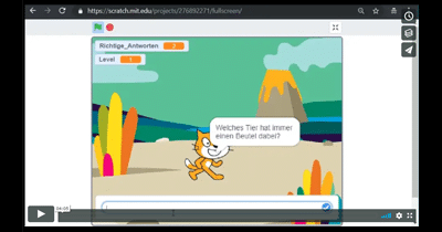 Screenshot Video