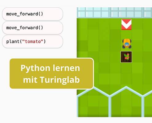 Plattform Turinglab zum Python lernen