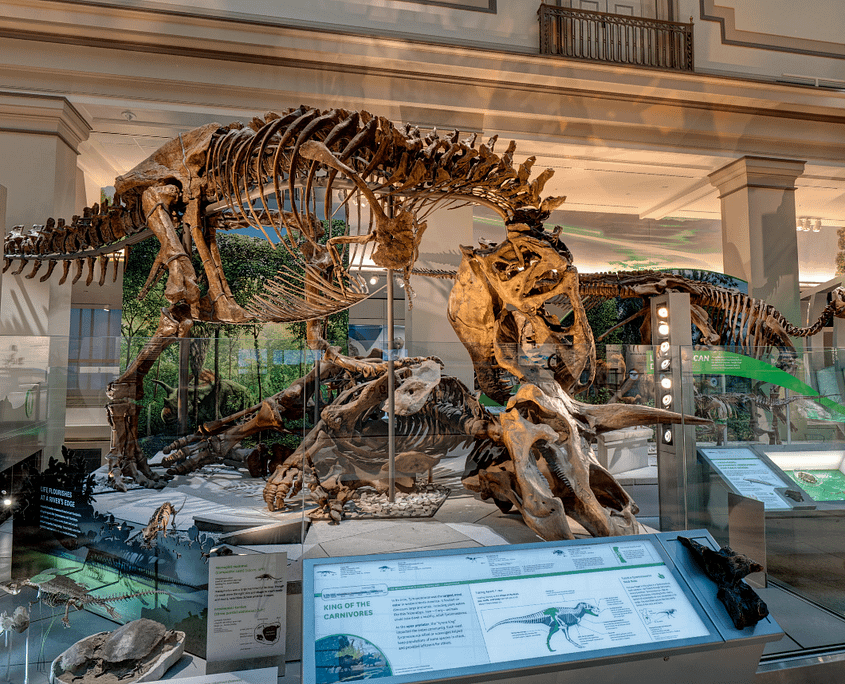 Mit einer Vielzahl von Exponaten bietet das Smithsonian etwas für beinahe alle Fächer. © Smithsonian Institution