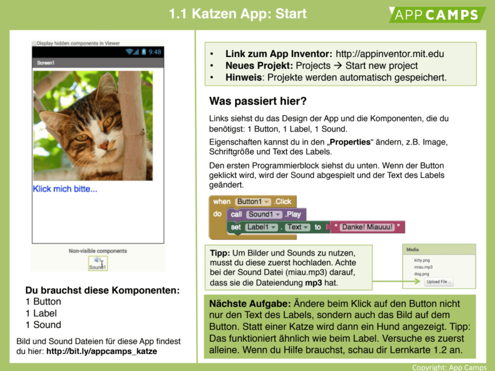 App Katze